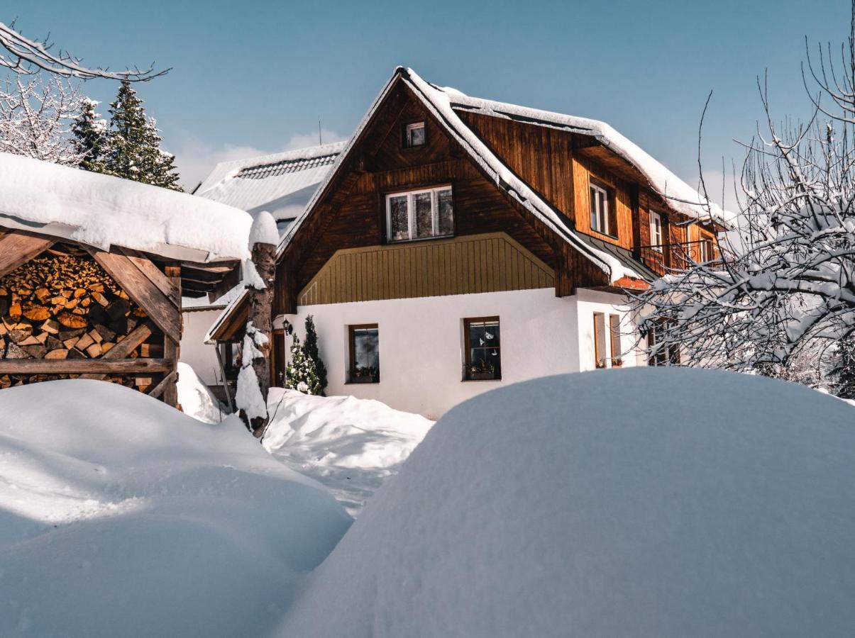 Apartman Karel A Martina Rokytnice nad Jizerou Exterior foto